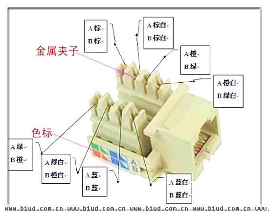 网线插座接法