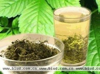 绞股蓝茶的食用方法