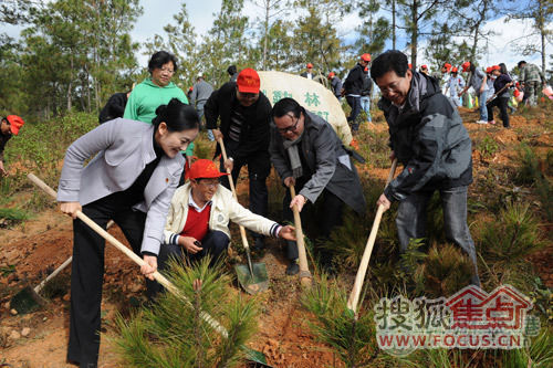 科勒林植树活动现场