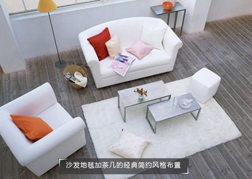 灰白的木质地板上两张沙发和一张地毯构成了客厅的沙发区