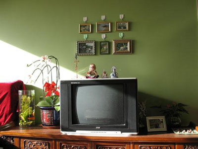 绿色背景电视墙