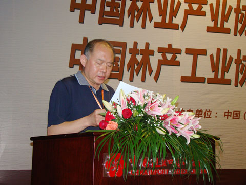 中国林产业协会秘书长石峰讲话