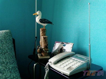 客厅一角旁边的海鸥木雕后面的杆是一个坐地老式铝灯