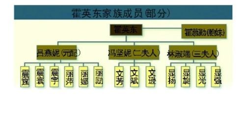 看霍家争产大战 揭已故霍英东豪宅之谜(组图) 