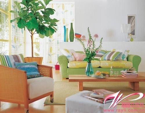 沙发区用绿植来营造清新感