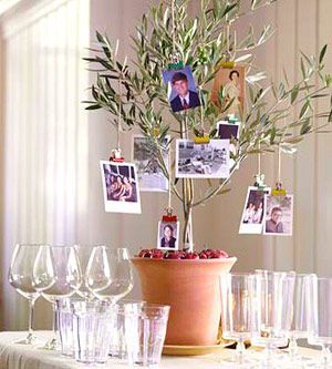 这是一棵用相片装点的橄榄树枝条上用麻绳系着不同时期家庭成员的相片