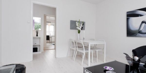 44平米经典瑞士风格公寓  明亮鲜活的空间美 
