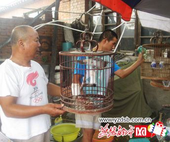 丰润一对夫妇25年风雨抚养智障养子