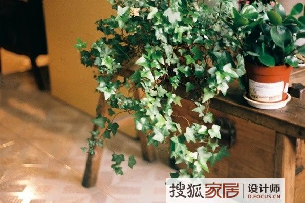 胡同里的80年代记忆 走访文艺女青年的家 