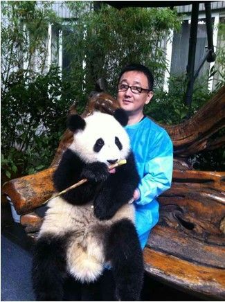 图为熊猫“小新”认养现场
