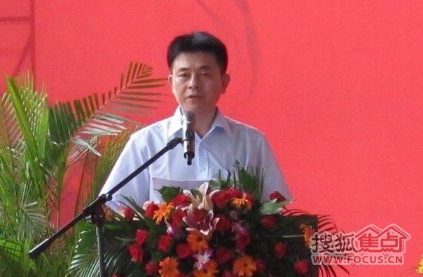 华坊洲木业集团董事长张凤岚先生致辞