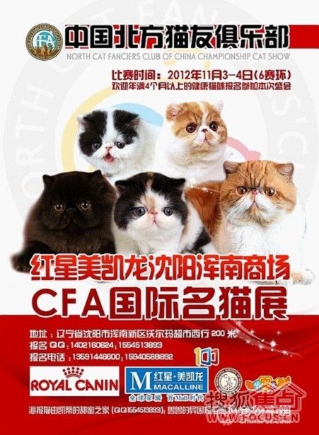 宠物食品(上海)有限公司北京贸易分公司主办,红星美凯龙沈阳浑南商场
