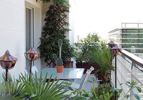 阳台周围被绿色包围，不同种类的植物给阳台周遭带来丰盈感，特别是小墙体的攀爬系植物，让绿意一直延伸至上部空间，而玻璃餐桌座椅就围绕其中，惬意至极
