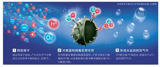 净离子群除菌机制示意图