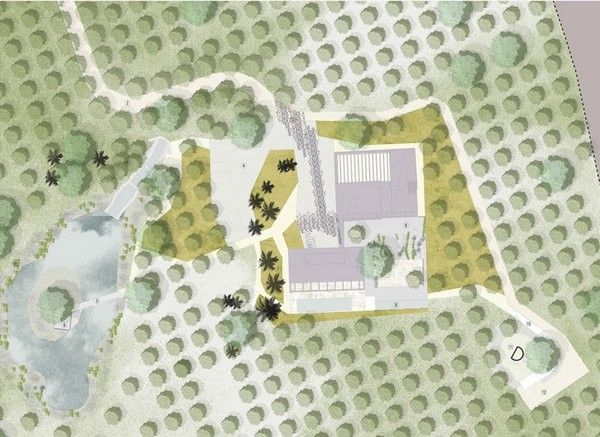 不规则几何体建筑 橄榄林中白色别墅设计欣赏 