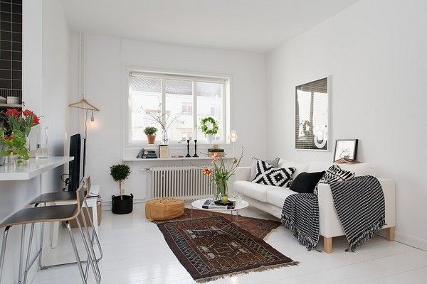 小公寓也有春天 41平哥德堡白色活力公寓(图) 