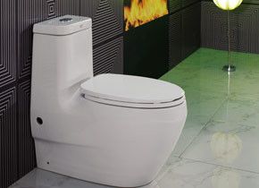 美标La Vita 怡尚系列 3/4.5升超强节水型连体座厕