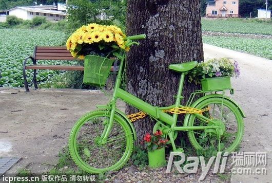 自行车的车筐做花盆　 