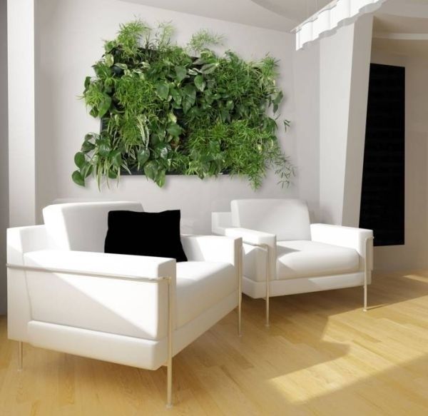 环保先行 巧用植物墙装点家居环境（组图）