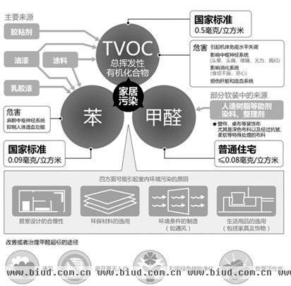 走过小时代 遇上森林之星