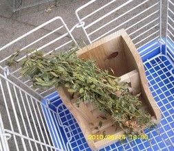 食盆草架二合一