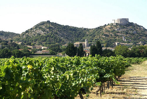 隆河谷（Rhone Valley）