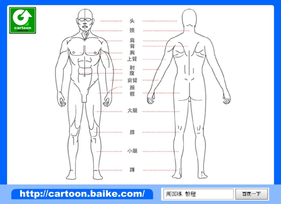 男身体部位图解图片