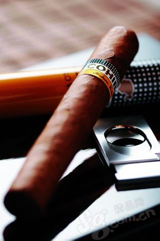 COHIBA Esplendido