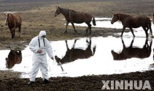 如今隔离区生态环境已经得以恢复，但仍需进行辐射检测（图片来源：新华网）