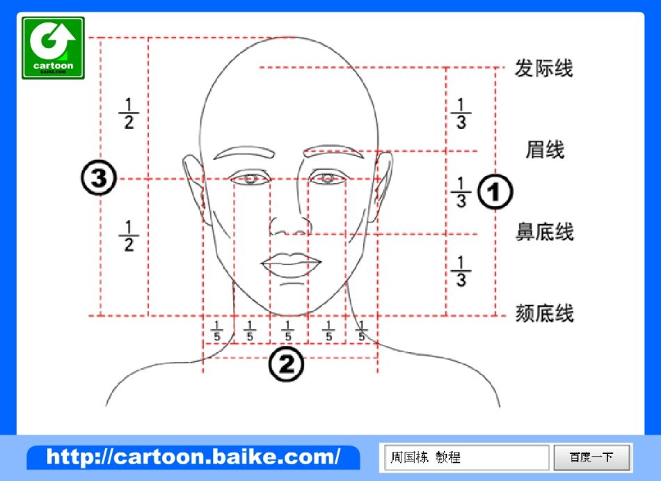 了解人物头部比例