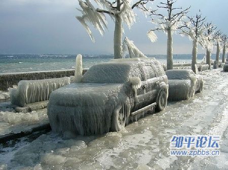 南方大雪 洗衣干衣一体机倍受青睐