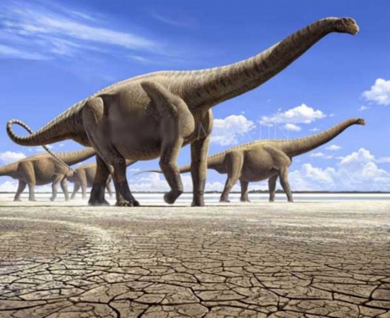 哪些恐龙最让人着迷? 2011