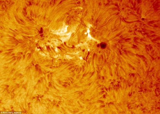 这幅照片展示了躁动的太阳表面，温度达到5500摄氏度