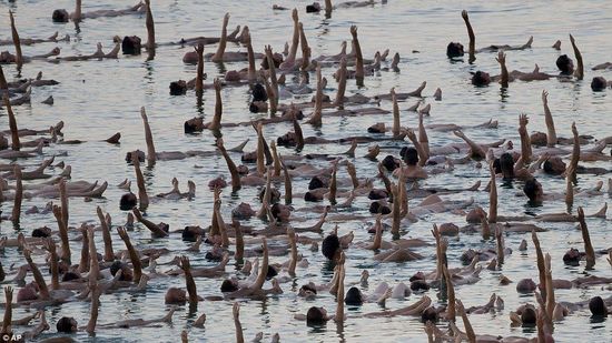 摄影师召集千人聚死海拍摄裸体合照