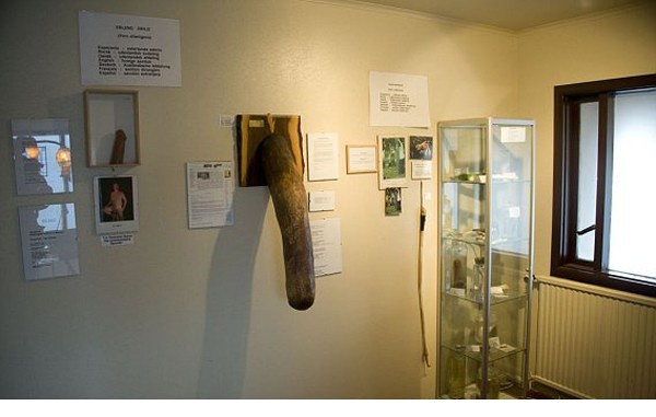 冰岛丁丁博物馆34cm图片